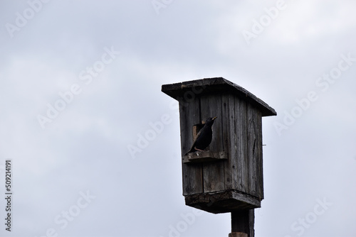 Birdhouse on the background of a wooden birdhouse