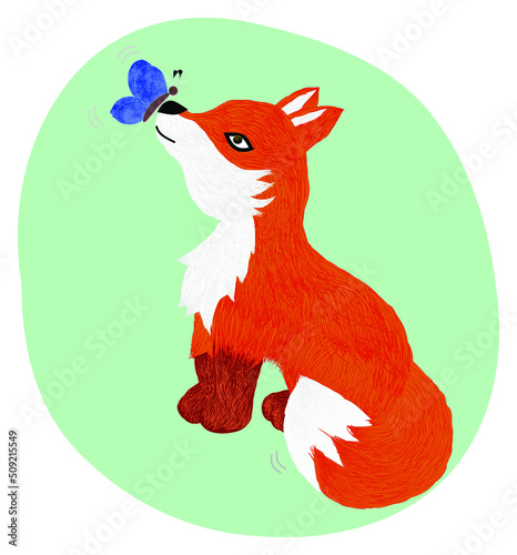 Drawing of an azjl butterfly landing on the snout of a red fox.