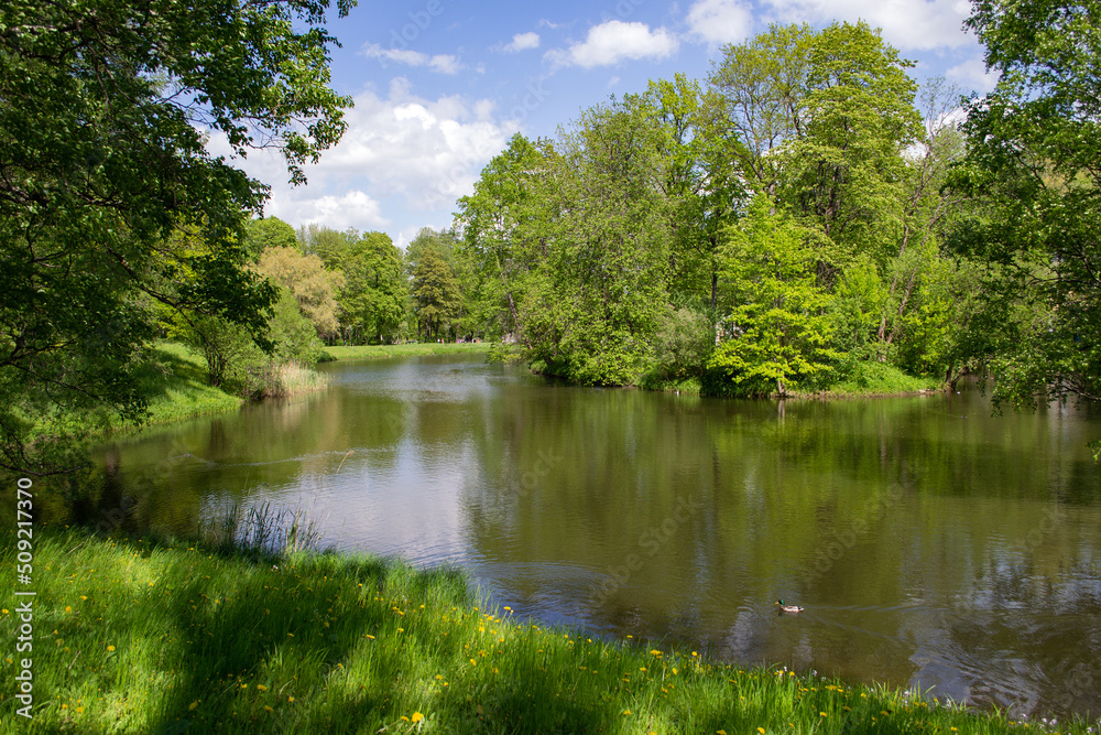 Beautiful lake in the park surrounded by spring greenery