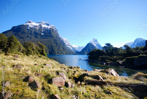 Grassy mountain water view of the Milford Sounds snowcapped volcano in South Island of New Zealand Aotearoa