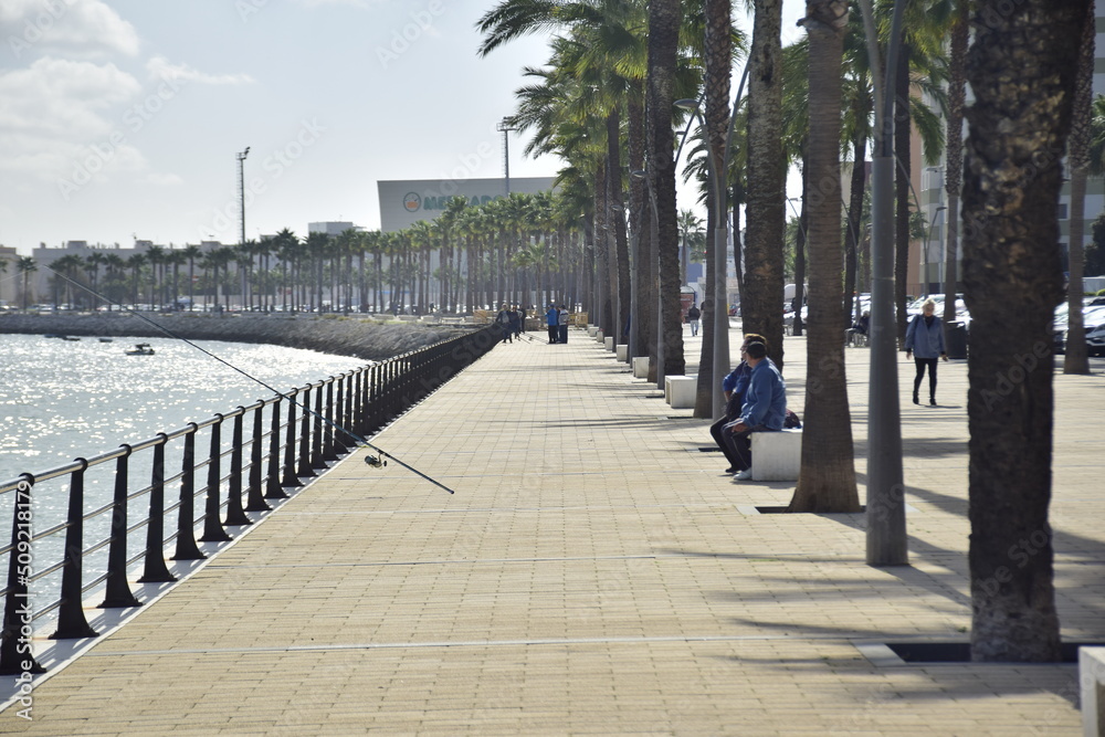 Cadiz, Spain - 06 november 2019: Fishermen on Paved embankment with tall palm trees