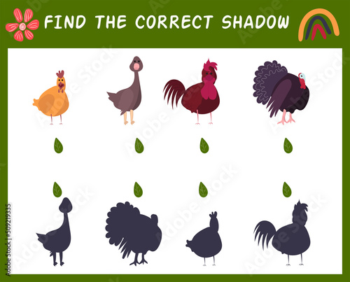 Find the correct shadow with farm birds. Matching game for kid with turkey, goose, chicken, rooster