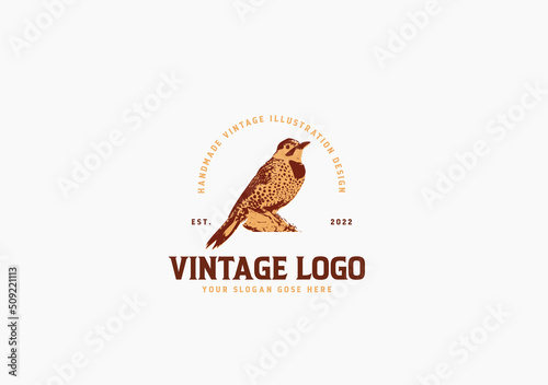 Northern Flicker bird vintage logo