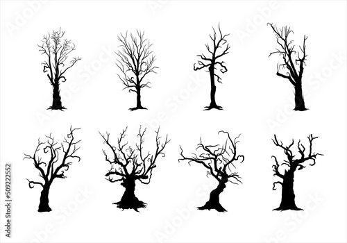 Scary, creepy tree silhouette collection photo
