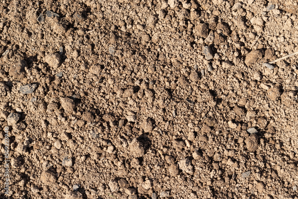 Empty plowed dry soil under sunlight closeup Empty plowed dry soil under sunlight closeup
