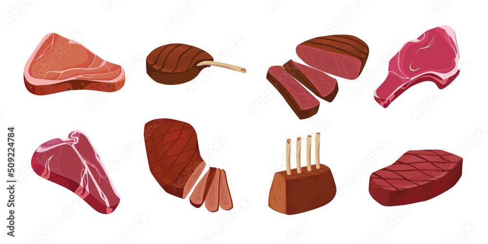 Set of raw and fried meat in cartoon style. Vector illustration of delicious and appetizing meat from different species.