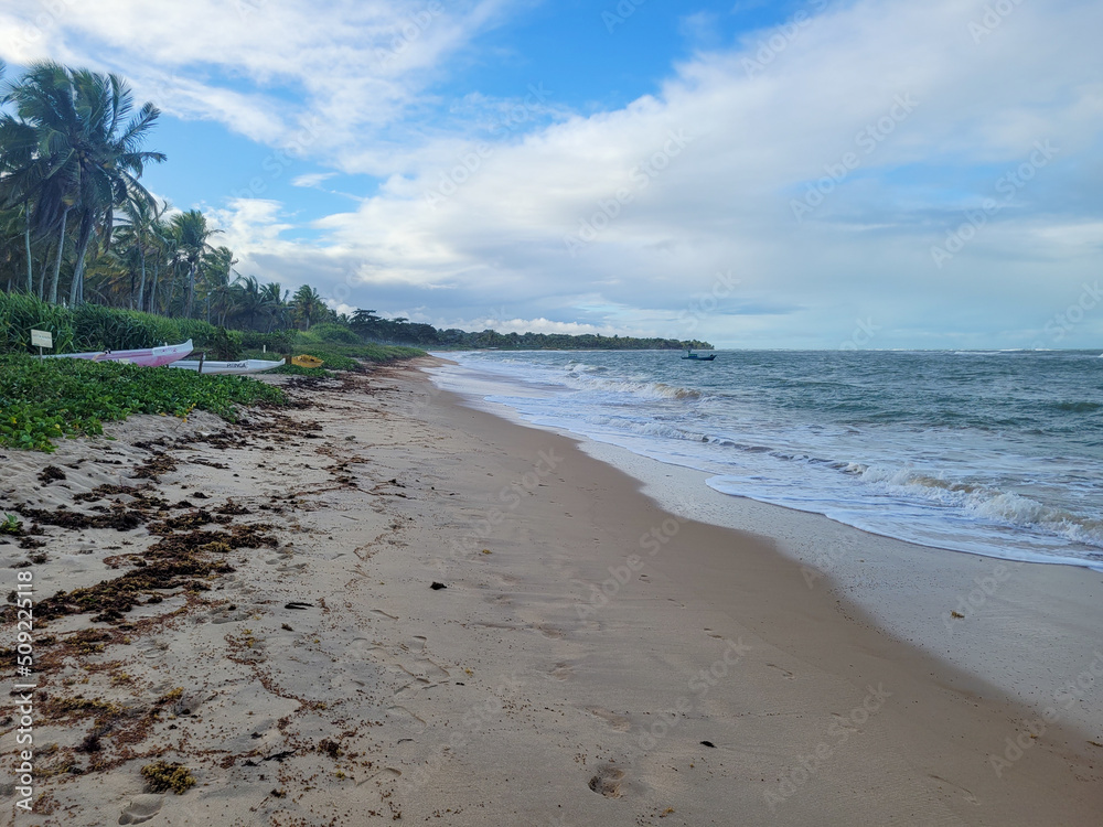 beach