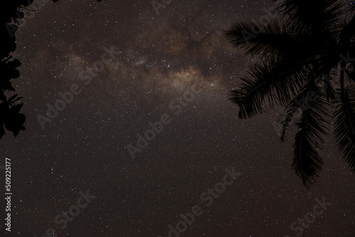 Many stars and formation of the milky way between trees and coconut trees in astronomical photographs