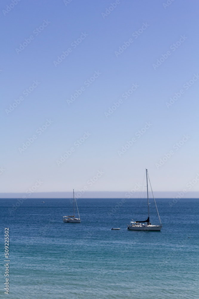 Vertical shot of sailing boats on sea