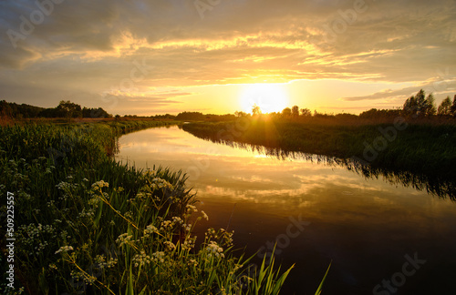 Fototapeta Naklejka Na Ścianę i Meble -  Ciepły zachód słońca nad rzeka Krzną w Polsce