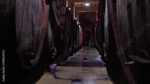 Passage between long rows of old oak wine barrels with spigots and cask chimes colored in red, handheld shot. photo