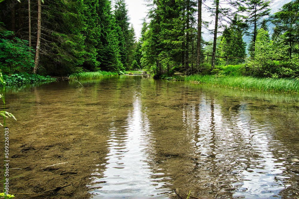 am kleinen Bachlauf am kleinen Bachlauf