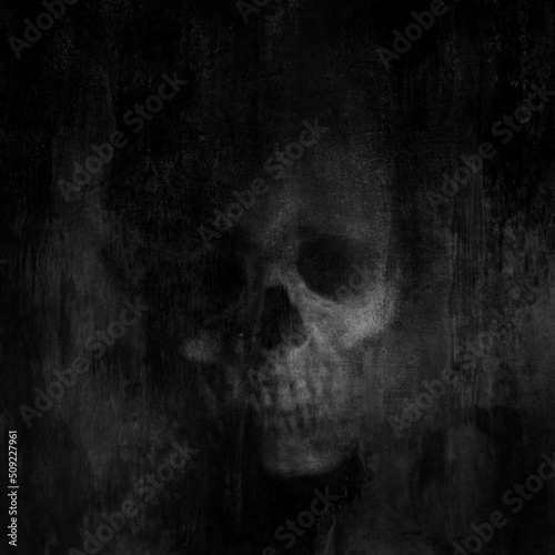 Skull. Hand painted illustration. Mixed media.
