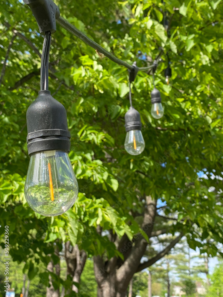 GABRIELLE Lot de 24 Ampoules LED B22 Guirlande guinguette extérieur