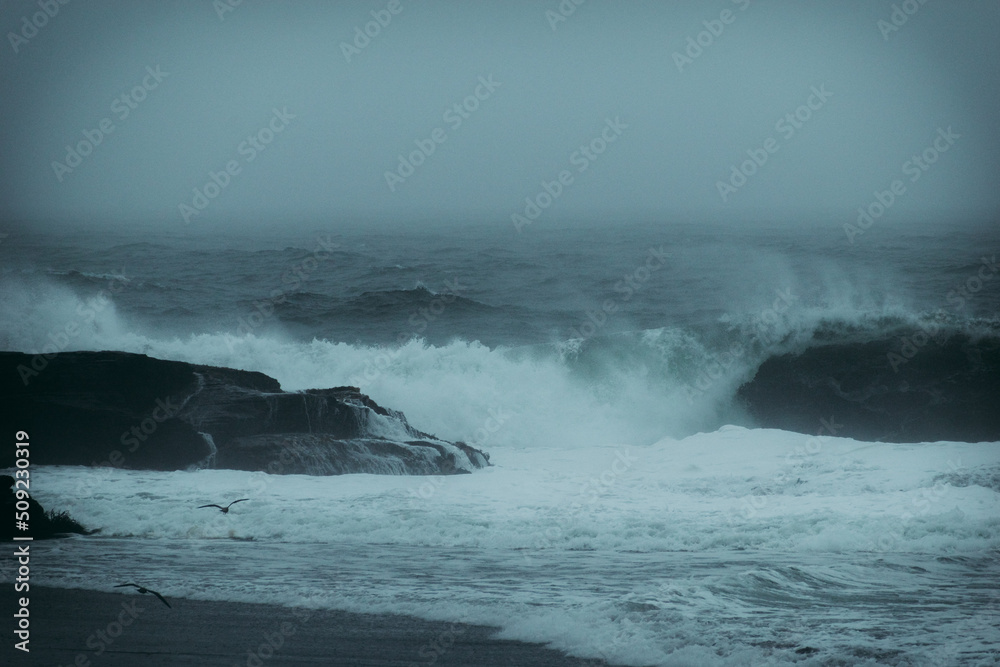 Olas rompiendo en las rocas en día nublado con gaviotas volando alrededor