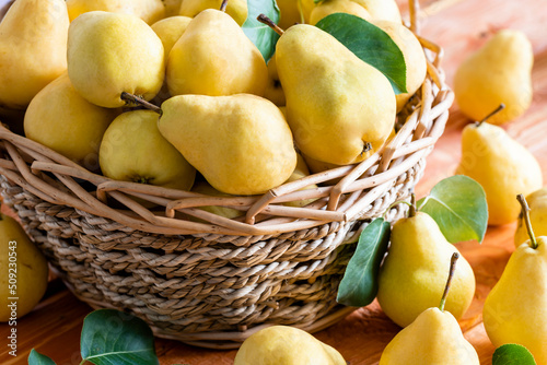 Basket with ripe juicy yellow pears close-up