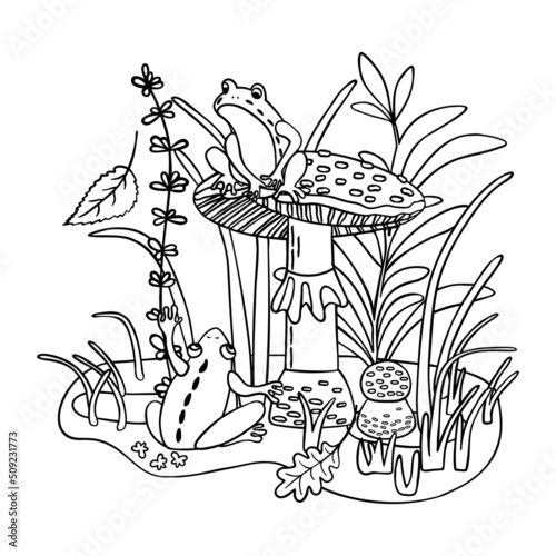 Linear hand drawn illustration with fly agaric mushroom,two frogs, tree leaves and thickets of grass.Vector natural background or print  on fabric and paper.Childish coloring with wildlife and plant.
