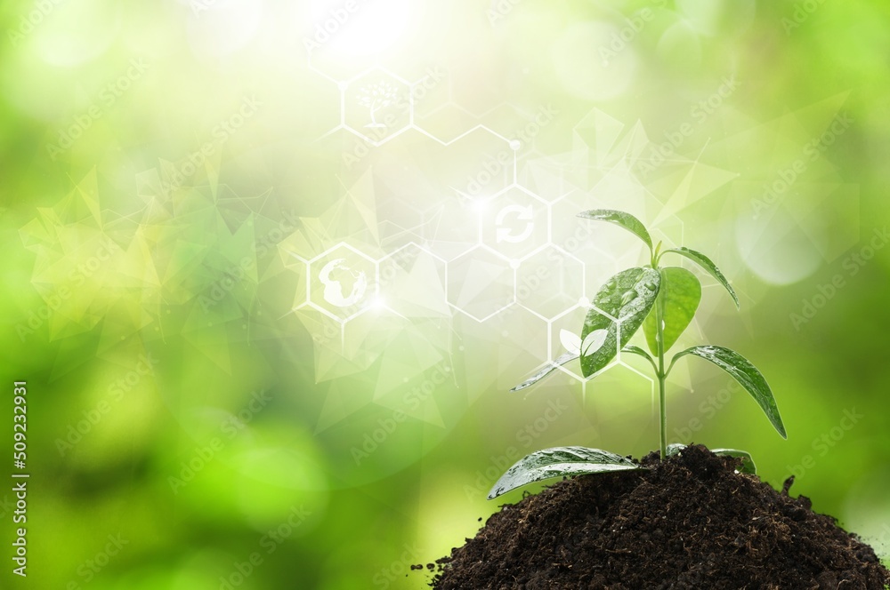 Microelements for plants nutrition. Factors necessary for the process ...