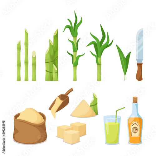 Set of Cane Sugar Production and Equipment, Raw Stems, Green Leaves, Knife, Sack, Scoop with Sugar Sand and Cubes, Rum