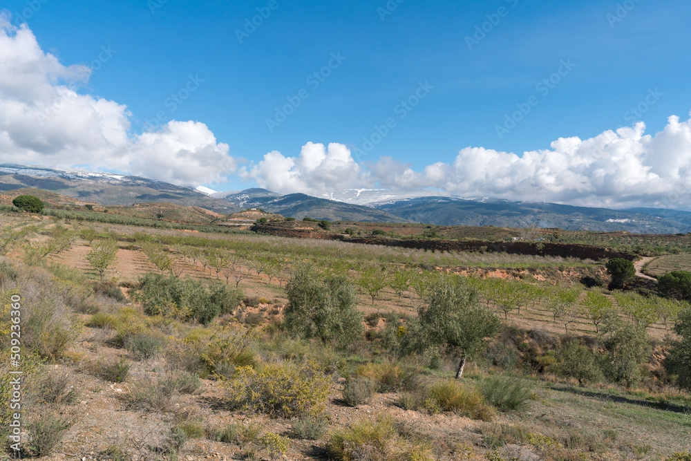 farmland in the south of Granada
