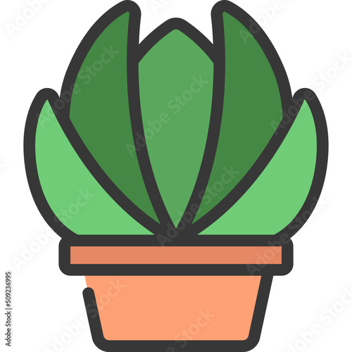 Echeveria Icon