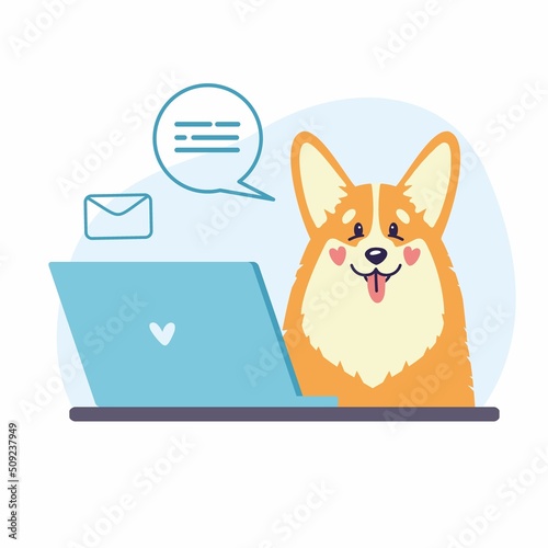 A happy, cute corgi dog sits at the computer and communicates