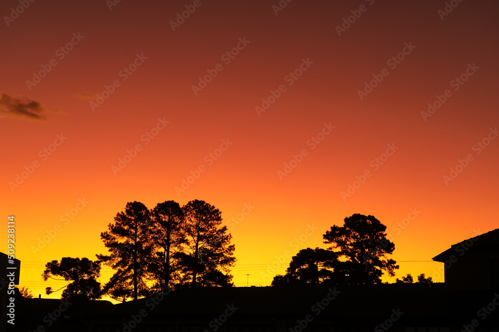 Sunset with a very orange sky, characteristic of the moment, and at the base of the image the silhouette of trees and houses.
Sunset with a very orange sky, characteristic of the moment, and at the base of the image the silhouette of trees and houses.