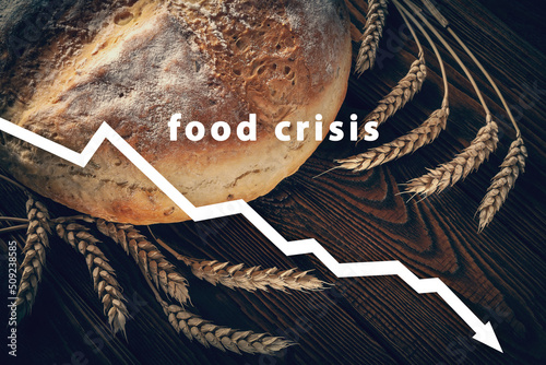 Food crisis. Failed grain harvest. The shortage of bread. Aggressive war of Russia in Ukraine. The global threat of famine to the whole world. photo