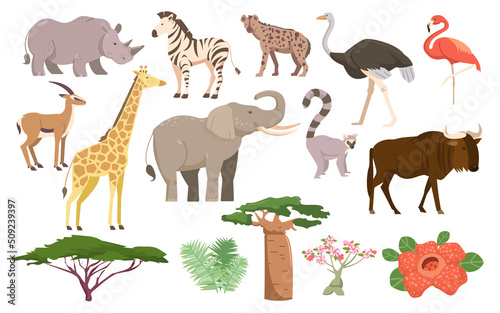African flora and fauna. African animals  plants  birds and trees. Savanna mammals and vegetation
