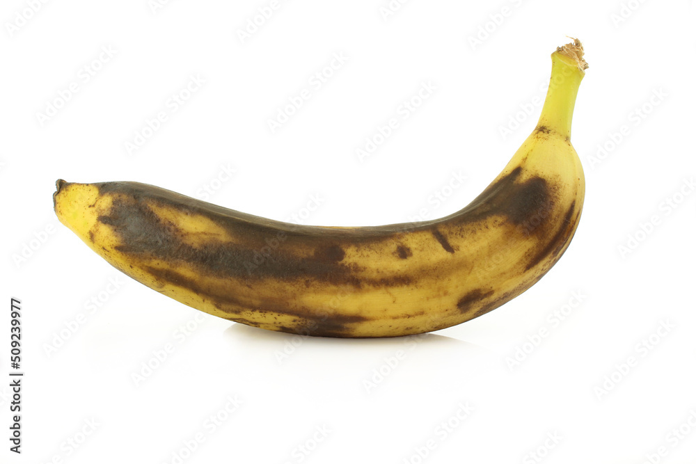 Single overripe black banana isolated on white background. Decomposing tropical fruit Single overripe black banana isolated on white background. Decomposing tropical fruit