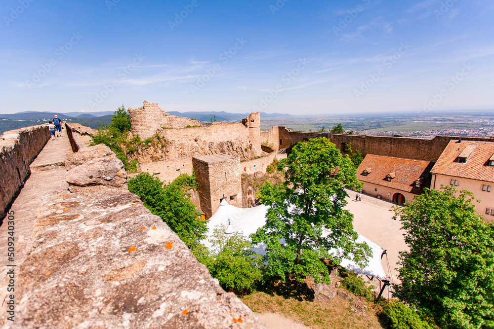 Fototapeta premium Hohlandsbourg, castle, Wintzenheim, Medieval, Fortified castle, 1279, Fortress, France