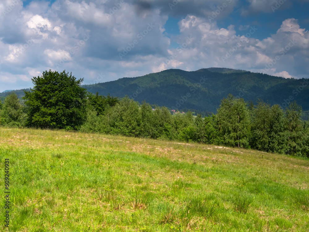 Radziejowa ze szlaku na Eliaszówkę