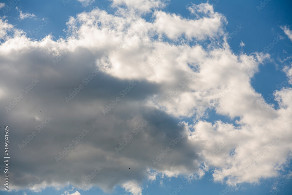 White-gray clouds against the blue sunny sky. White-gray clouds against the blue sunny sky.