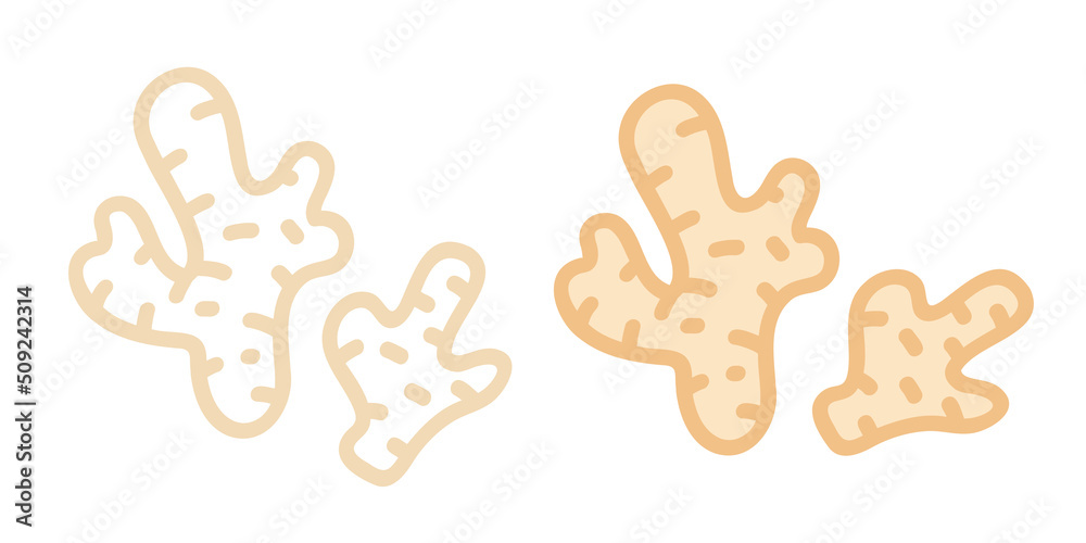 Vector set icons of ginger. Vector illustration of gingers. Hand drawing vegetables. Vector set icons of ginger. Vector illustration of gingers. Hand drawing vegetables.