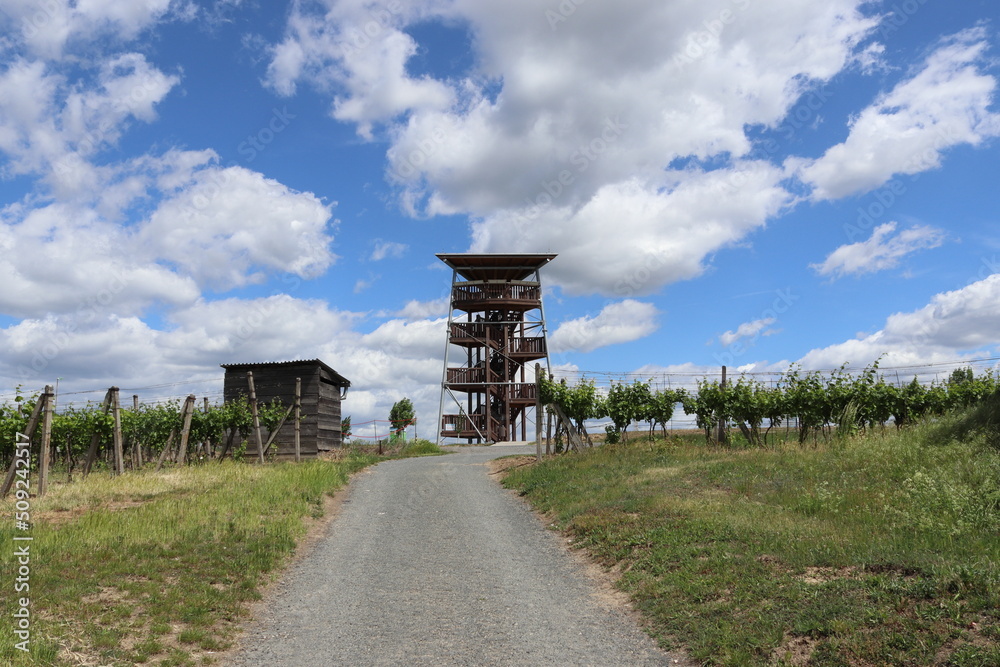 Modern public lookout tower near Mutenice in the Czech Republic. South Moravian wine region. Blue sky with clouds. Vine growing. The path leads to the lookout tower.