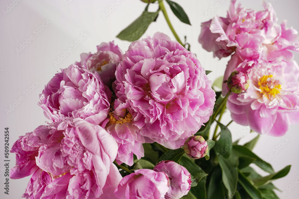 Bouquet of Pink Peonies closeup on white background, vintage color correction Bouquet of Pink Peonies closeup on white background, vintage color correction