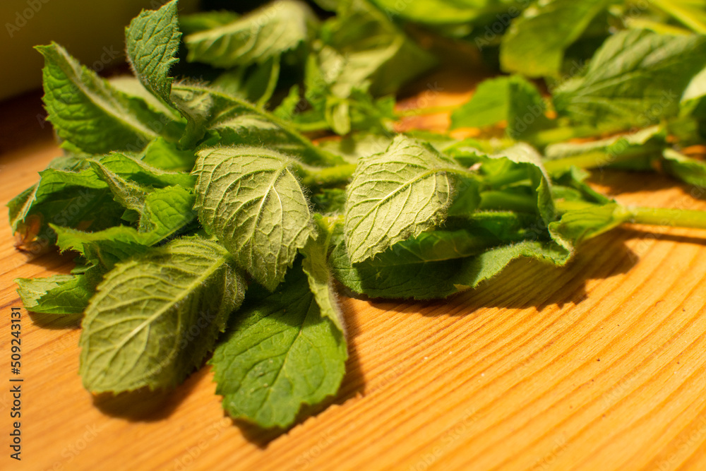 green fresh mint on a wooden table. green fresh mint on a wooden table.