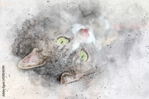 Digitally enriched photograph of a green eyed grey tabby rolling around and looking cute. This photosketch technique creates a faux watercolour effect giving the image an overall artistic impression. © Irwin Seidman