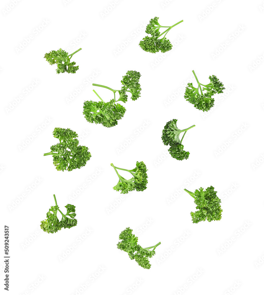 Fresh parsley leaves falling in the air isolated on white background. Fresh parsley leaves falling in the air isolated on white background.