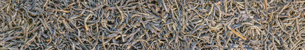 Panoramic view of dried tea. Background texture of dry tea leaves.