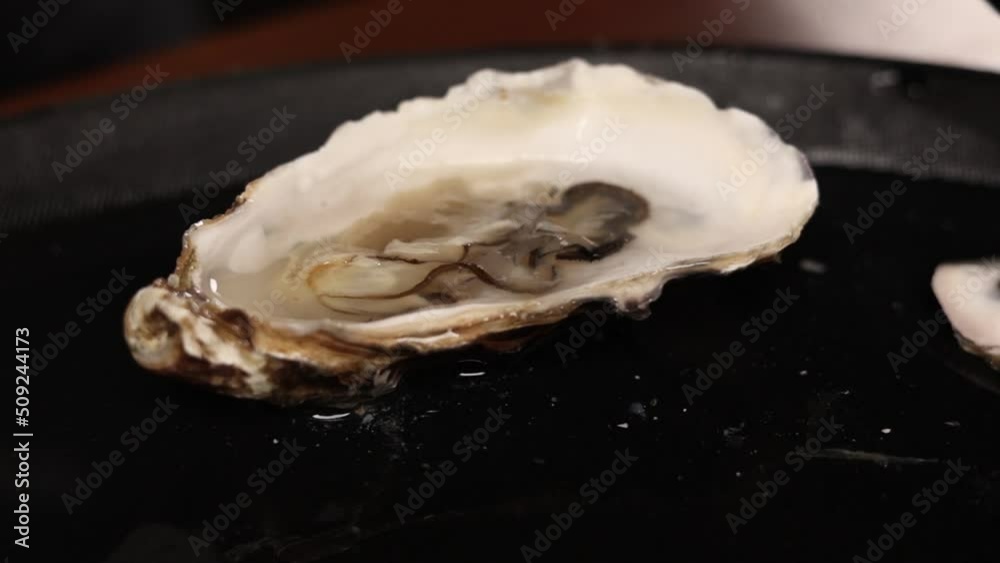 fresh oysters opened by the chef in black gloves
fresh oysters opened by the chef in black gloves