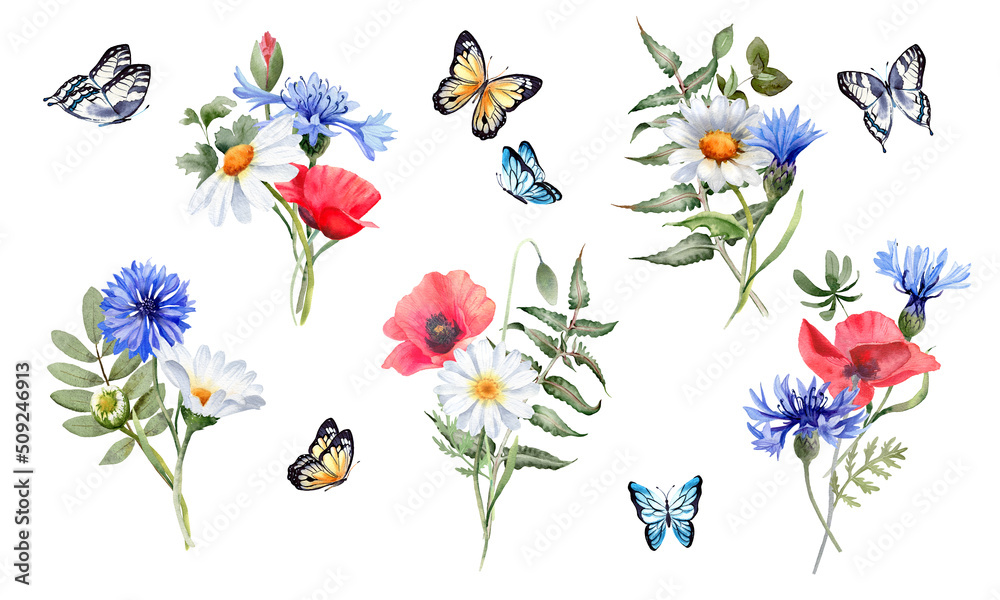 Meadow flower and butterfly. Daisy, poppies, cornflower, greenery and branches bouquets. Watercolor illustration for greeting cards, poster, scrapbooking, wedding invitation, summer home decor