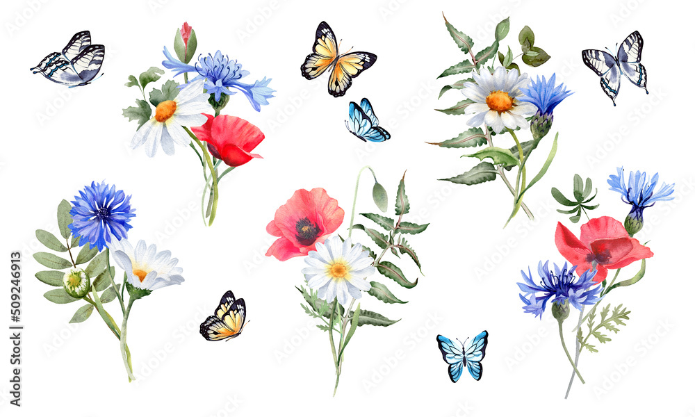 Fototapeta premium Meadow flower and butterfly. Daisy, poppies, cornflower, greenery and branches bouquets. Watercolor illustration for greeting cards, poster, scrapbooking, wedding invitation, summer home decor