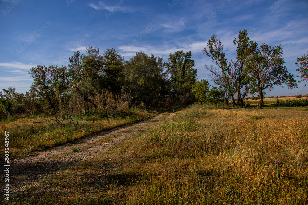 summer landscape of aragon spain on a warm sunny day road and trees summer landscape of aragon spain on a warm sunny day road and trees