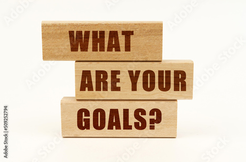 On a white surface are wooden blocks with the inscription - What Are Your Goals