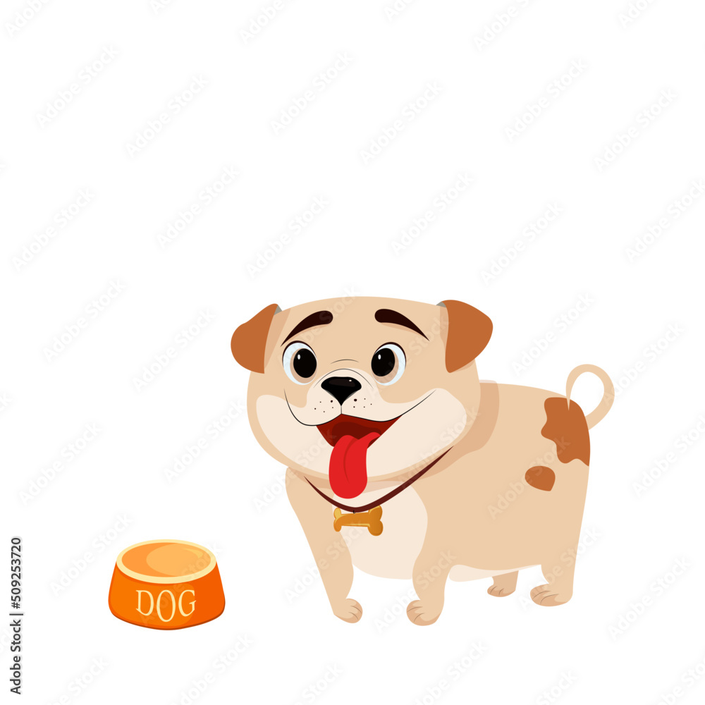 Puppy with a bowl. Beige dog with a bowl. Dog waiting for food. Pet Puppy with a bowl. Beige dog with a bowl. Dog waiting for food. Pet