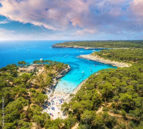Aerial view of sandy beach with colorful umbrellas, green forest, swimming people in sea bay with clear blue water, sky at sunrise in summer. Travel. Mallorca, Balearic islands, Spain. Top view