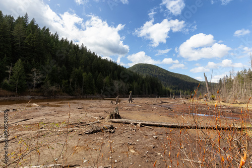 View of Canadian Nature Landscape. Green Trees, Mountains, and Water. Sunny Spring Season. Buntzen Lake, Anmore, Vancouver, BC, Canada. Background photo