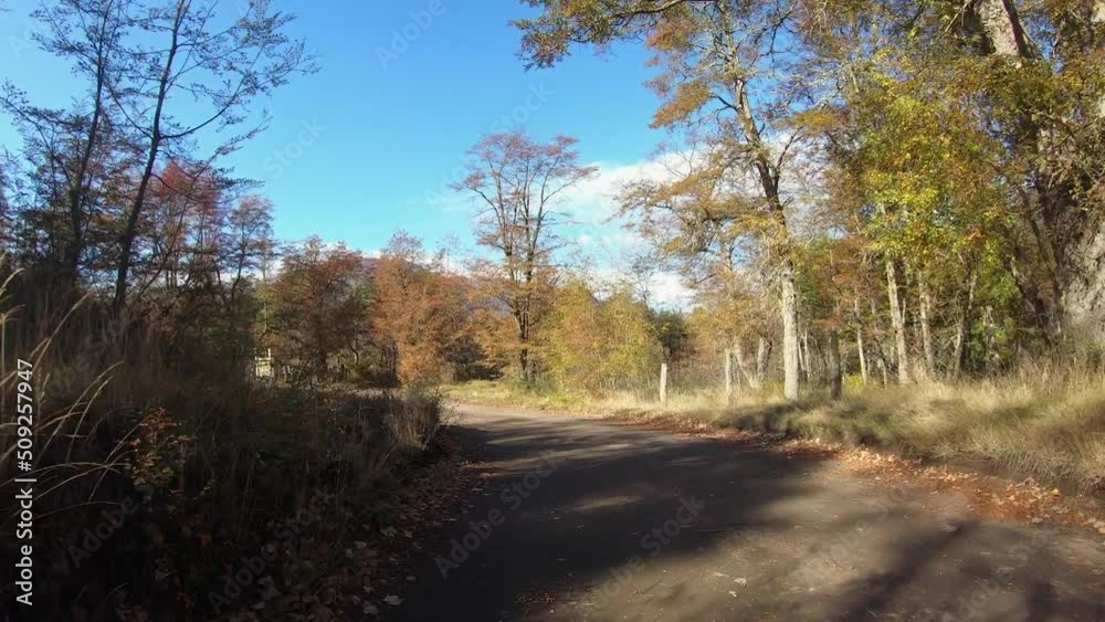 Vacations. Point of view of a car driving along the road across the woods in autumn in a sunny day. Vacations. Point of view of a car driving along the road across the woods in autumn in a sunny day.