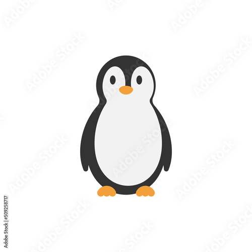 penguin icon design template vector illustration
